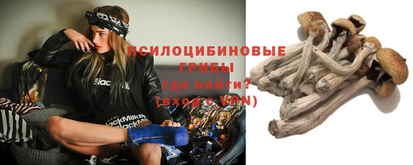 таблы Горнозаводск