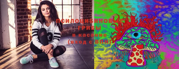 гашик Горно-Алтайск